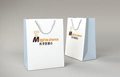 米子簡(jiǎn)餐外賣包裝盒手提袋